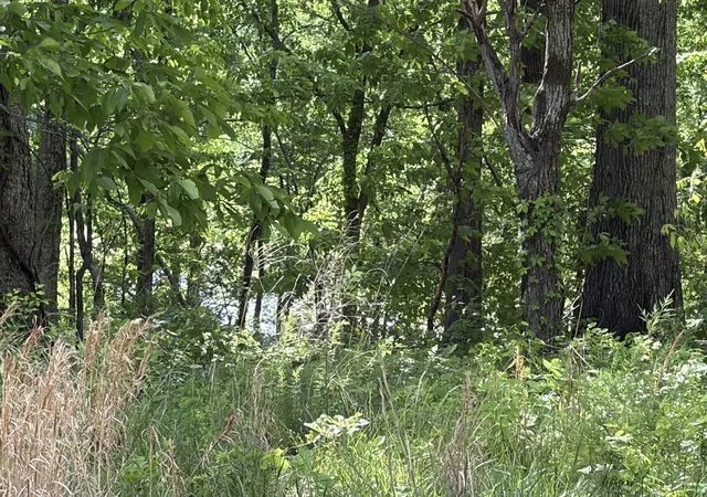 image of 120 Kiki Cove, Clifton, TN 38425 | MLS# 3182938