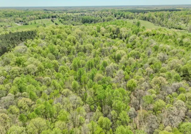 33rd image of 2167 Powdermill Hill Rd, Lawrenceburg, TN 38464 | MLS# 3171083