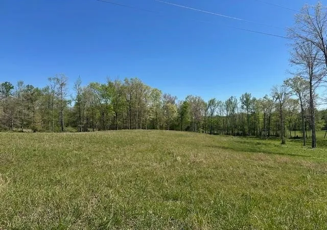 Homes for sale in Adamsville, TN | 0 Pear Blossom Ln, Adamsville, TN 38310 | MLS# 3171171