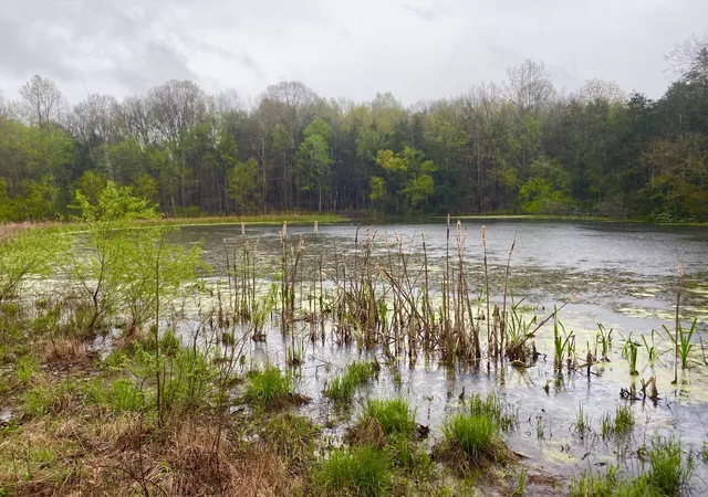 Photo 1 of Land for sale at 0 Hwy 64 Arnold Rd E, Wartrace, TN 37183 | MLS# 3171422 | Listing updated on 2026-04-27
