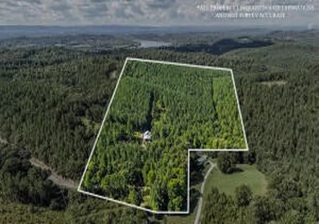55th image of 1450 Cottonport Ridge Rd, Decatur, TN 37322 | MLS# 3171480