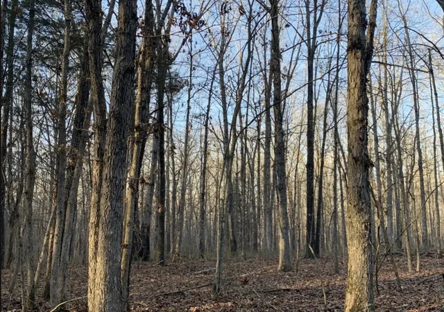 5th image of 4206 Summertown Hwy, Summertown, TN 38483 | MLS# 3177626