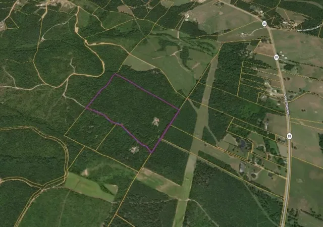 Homes for sale in Summertown, TN | 4 Summertown Hwy, Summertown, TN 38483 | MLS# 3177628