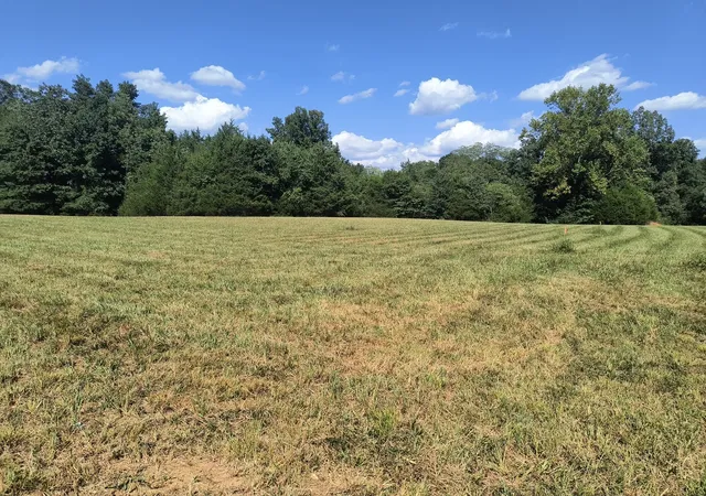 Photo 2 of Land for sale at 0 Hwy 41 A, Shelbyville, TN 37160 | MLS# 3175262 | Listing updated on 2026-08-27