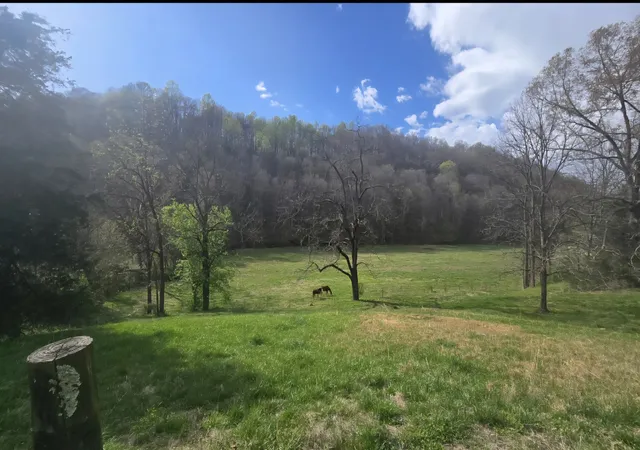 Homes for sale in Manchester, TN | 109 Creek Bend Ln, Manchester, TN 37355 | MLS# 3173012