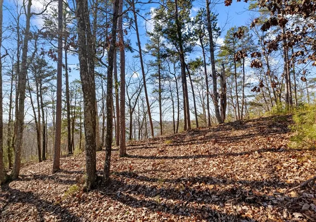 Photo 3 of Land for sale at 0 Crest Ct, Waverly, TN 37185 | MLS# 3172893 | Listing updated on 2026-04-10