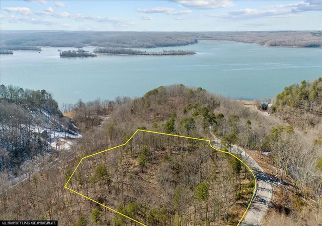Photo 4 of Land for sale at 0 Crest Ct, Waverly, TN 37185 | MLS# 3172893 | Listing updated on 2026-04-10