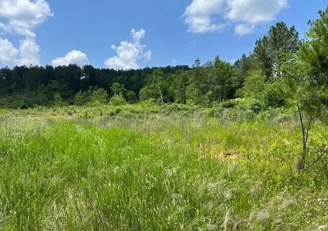 1st image of 0 County Road, Athens, TN 37303 | MLS# 3223388