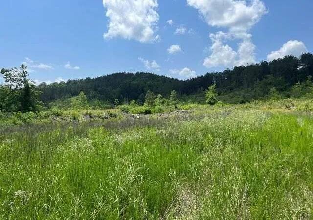 2nd image of 0 County Road, Athens, TN 37303 | MLS# 3223388