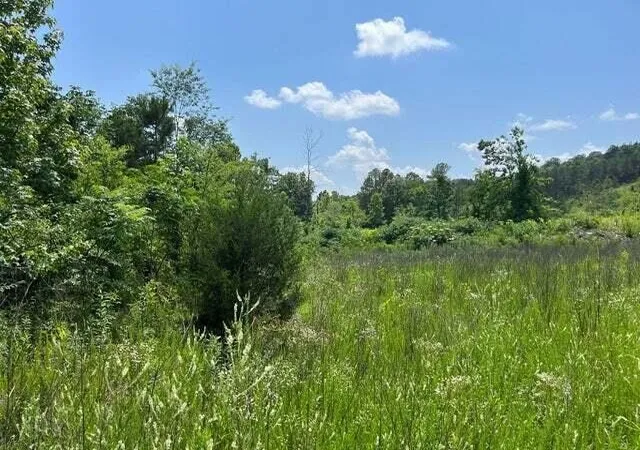 3rd image of 0 County Road, Athens, TN 37303 | MLS# 3223388