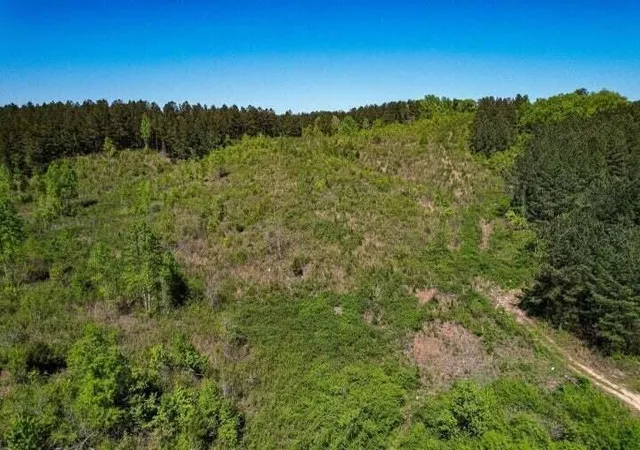 1st image of 0 Sneed Road, Decatur, TN 37322 | MLS# 3223393