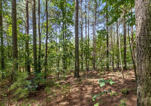 4th image of 2225 High Ground Road, Guild, TN 37340 | MLS# 3172871