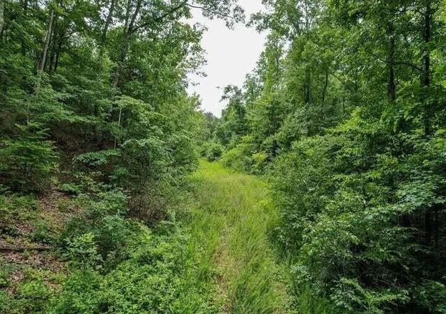 Photo 2 of Land for sale at 0 92 County Rd, Athens, TN 37303 | MLS# 3223368 | Listing updated on 2026-10-01