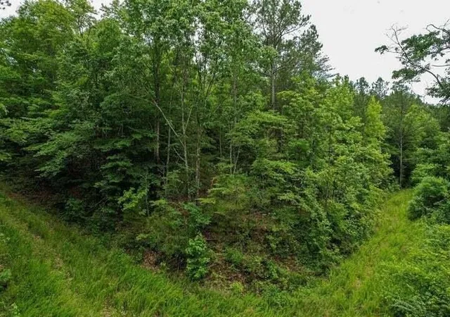 Photo 3 of Land for sale at 0 92 County Rd, Athens, TN 37303 | MLS# 3223368 | Listing updated on 2026-10-01
