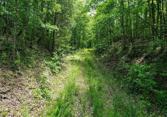 Photo 3 of Land for sale at 0 92 County Rd, Athens, TN 37303 | MLS# 3223368 | Listing updated on 2026-10-01