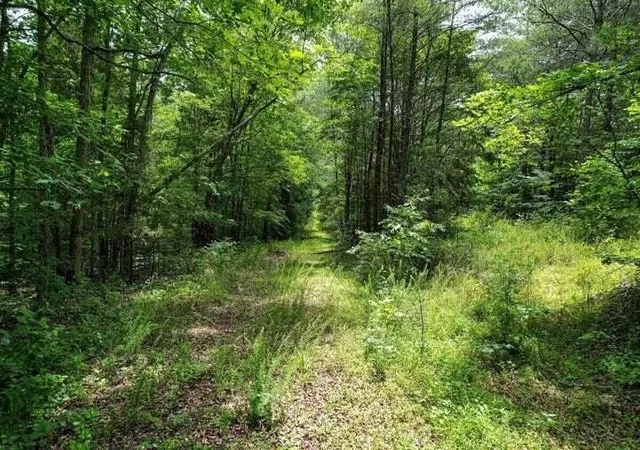 Photo 4 of Land for sale at 0 92 County Rd, Athens, TN 37303 | MLS# 3223368 | Listing updated on 2026-10-01