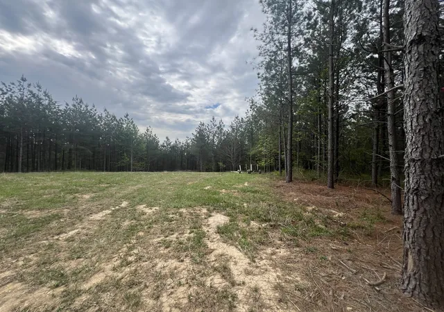 Photo 1 of Land for sale at 36 Pafford Ln, Erin, TN 37061 | MLS# 3173073 | Listing updated on 2026-05-04