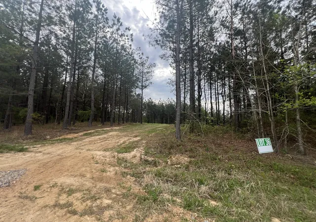 Photo 4 of Land for sale at 36 Pafford Ln, Erin, TN 37061 | MLS# 3173073 | Listing updated on 2026-05-04