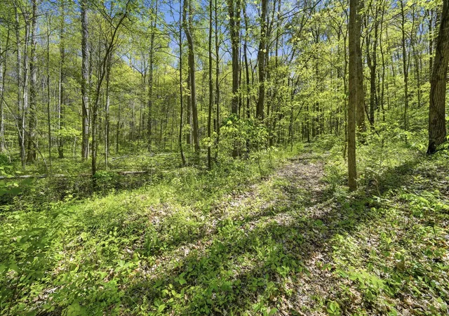 1st image of 0 Green Road, Beechgrove, TN 37018 | MLS# 3173816