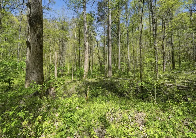 Homes for sale in Beechgrove, TN | 0 Green Road, Beechgrove, TN 37018 | MLS# 3173816
