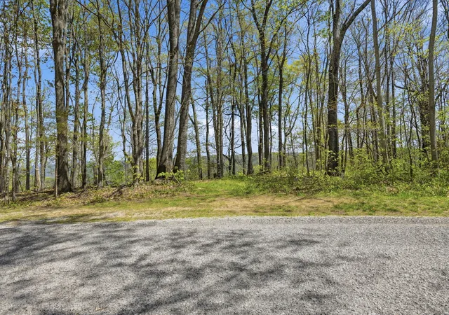 Homes for sale in Beechgrove, TN | 0 Green Road, Beechgrove, TN 37018 | MLS# 3173816