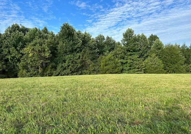 Homes for sale in Wartrace, TN | 0 Knob Creek Rd, Wartrace, TN 37183 | MLS# 3173025