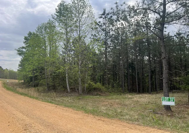 Photo 1 of Land for sale at 37 Pafford Ln, Erin, TN 37061 | MLS# 3173226 | Listing updated on 2026-04-30