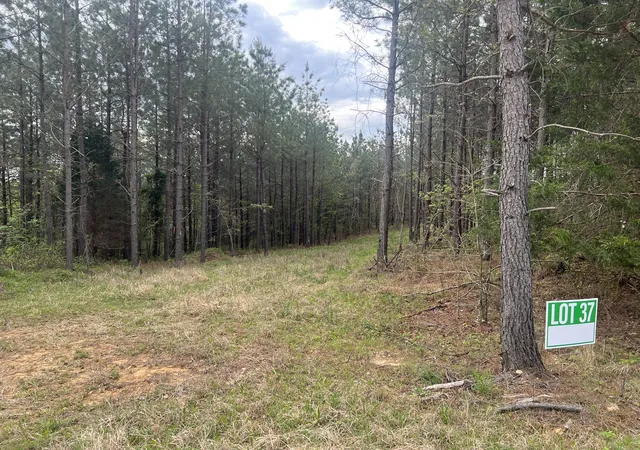 Photo 4 of Land for sale at 37 Pafford Ln, Erin, TN 37061 | MLS# 3173226 | Listing updated on 2026-04-30