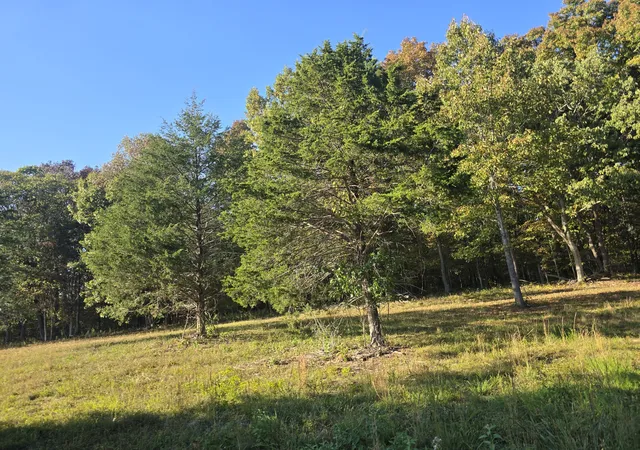 Photo 1 of Land for sale at 0 Kedron Rd, Spring Hill, TN 37174 | MLS# 3173276 | Listing updated on 2026-10-09
