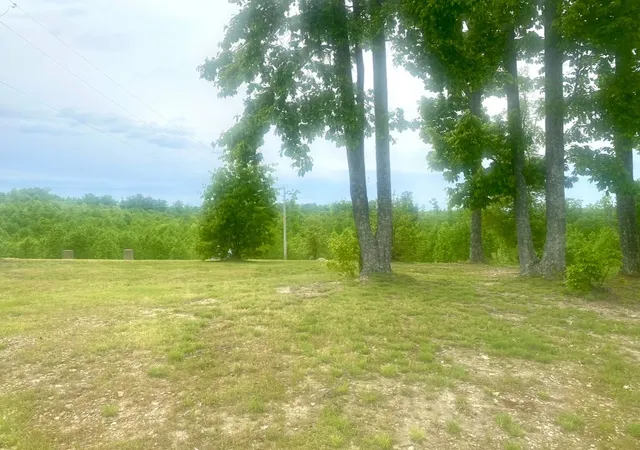 Homes for sale in Holladay, TN | 0 Rockport Landing, Holladay, TN 38341 | MLS# 3173194