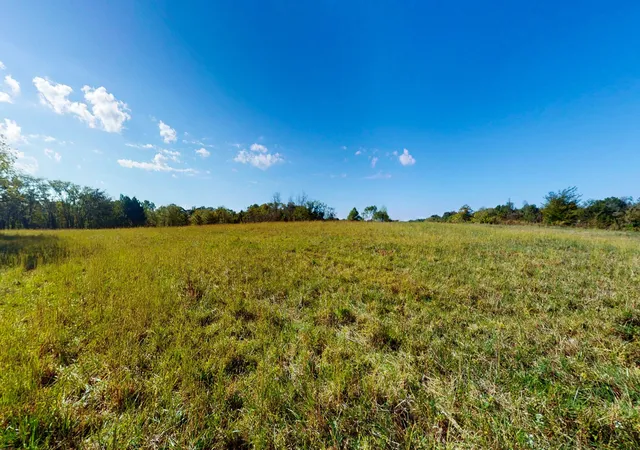 Homes for sale in Puryear, TN | 0 Old Murray Paris Rd, Puryear, TN 38251 | MLS# 3173257