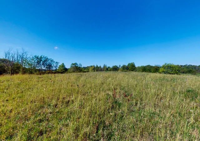 Homes for sale in Puryear, TN | 0 Old Murray Paris Rd, Puryear, TN 38251 | MLS# 3173257