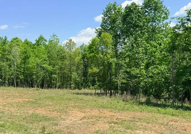 Homes for sale in Dover, TN | 0 The Retreat At Paris Landing, Dover, TN 37058 | MLS# 3178925