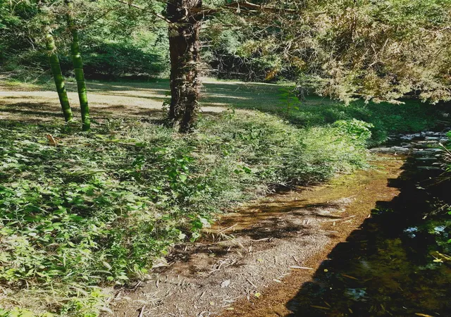 Photo 3 of Land for sale at 267 Graylynn Dr, Nashville, TN 37214 | MLS# 3173744 | Listing updated on 2026-10-07
