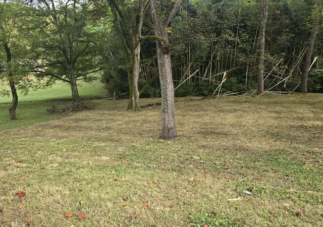 1st image of 267 Graylynn Dr, Nashville, TN 37214 | MLS# 3173744