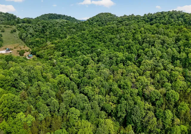 Homes for sale in Buffalo Valley, TN | 4830 Ensor Hollow Rd, Buffalo Valley, TN 38548 | MLS# 3234768