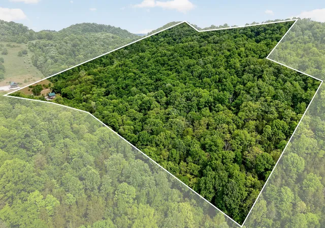 Homes for sale in Buffalo Valley, TN | 4830 Ensor Hollow Rd, Buffalo Valley, TN 38548 | MLS# 3234768