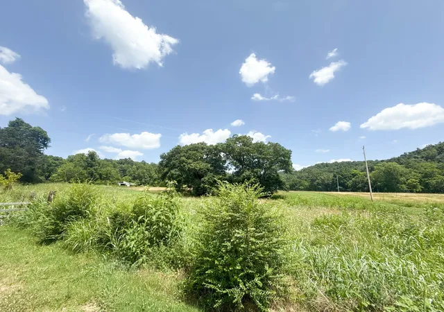 17th image of 0 County House Rd, Cottontown, TN 37048 | MLS# 3276578