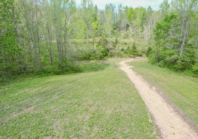 Homes for sale in Minor Hill, TN | 0 Puncheon Branch, Minor Hill, TN 38473 | MLS# 3229323