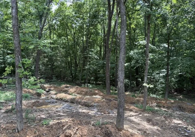 Homes for sale in Pulaski, TN | 142 Poling Dr, Pulaski, TN 38478 | MLS# 3180813