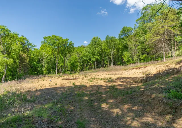 2nd image of 0 Globe Road, Lewisburg, TN 37091 | MLS# 3182269