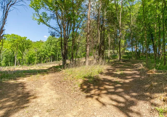 5th image of 0 Globe Road, Lewisburg, TN 37091 | MLS# 3182269