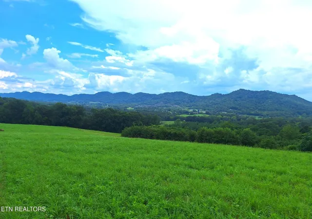 Homes for sale in Rogersville, TN | 305 Race Track Rd, Rogersville, TN 37857 | MLS# 3176697