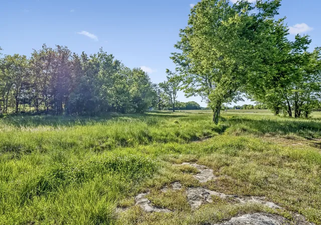 5th image of 10567 Versailles Rd, Rockvale, TN 37153 | MLS# 3180303