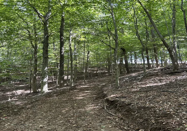 8th image of 190 Jd Lane, Lynchburg, TN 37352 | MLS# 3176008