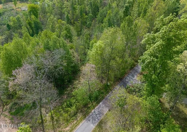 Photo 3 of Land for sale at 75 Backbone Rd, Sparta, TN 38583 | MLS# 3176099 | Listing updated on 2026-08-20