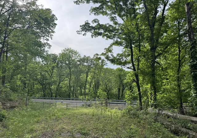 29th image of 0 Bethel Rd, Pulaski, TN 38478 | MLS# 3180847