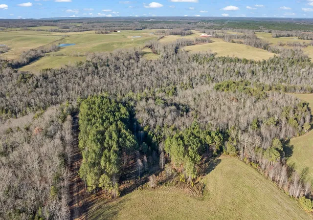 Photo 3 of Land for sale at 0 Prong Of Clear Frk, Jamestown, TN 38556 | MLS# 3176475 | Listing updated on 2026-08-04
