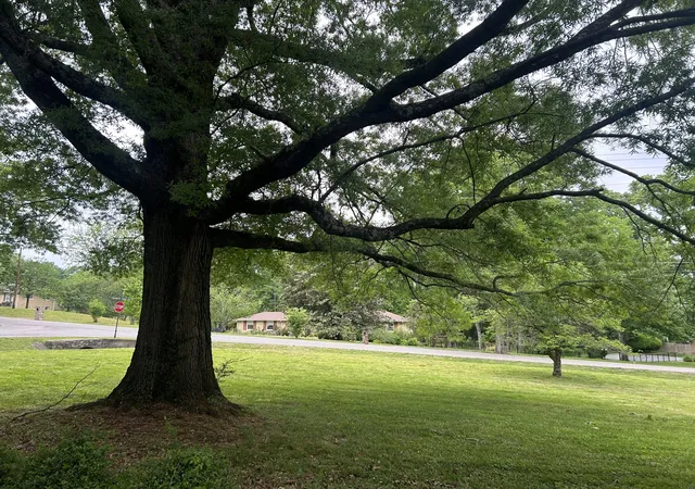 5th image of 707 Farrell Rd, Nashville, TN 37220 | MLS# 3180187