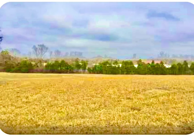 1st image of 300 N Mount Juliet Rd, Mount Juliet, TN 37122 | MLS# 3176590